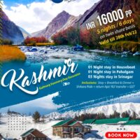 asha tours and travels