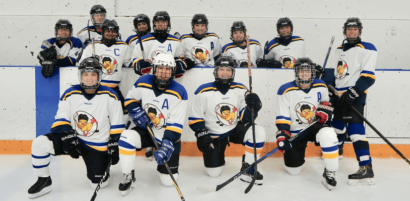 11+ Clever Ashl Players Bench / New to Hockey â Adult Safe Hockey League | ASHL : Only players and coaches are allowed on the players bench.