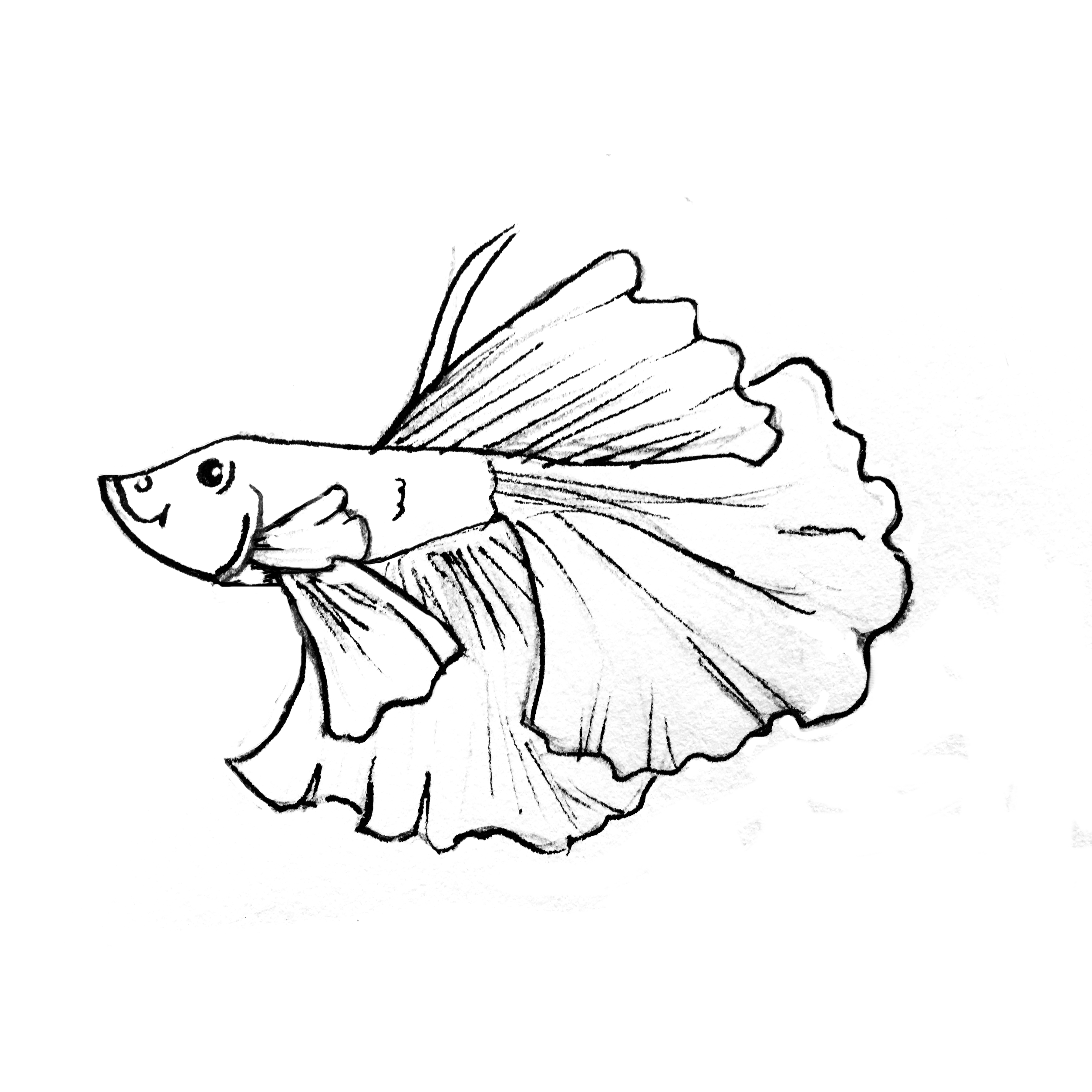beta