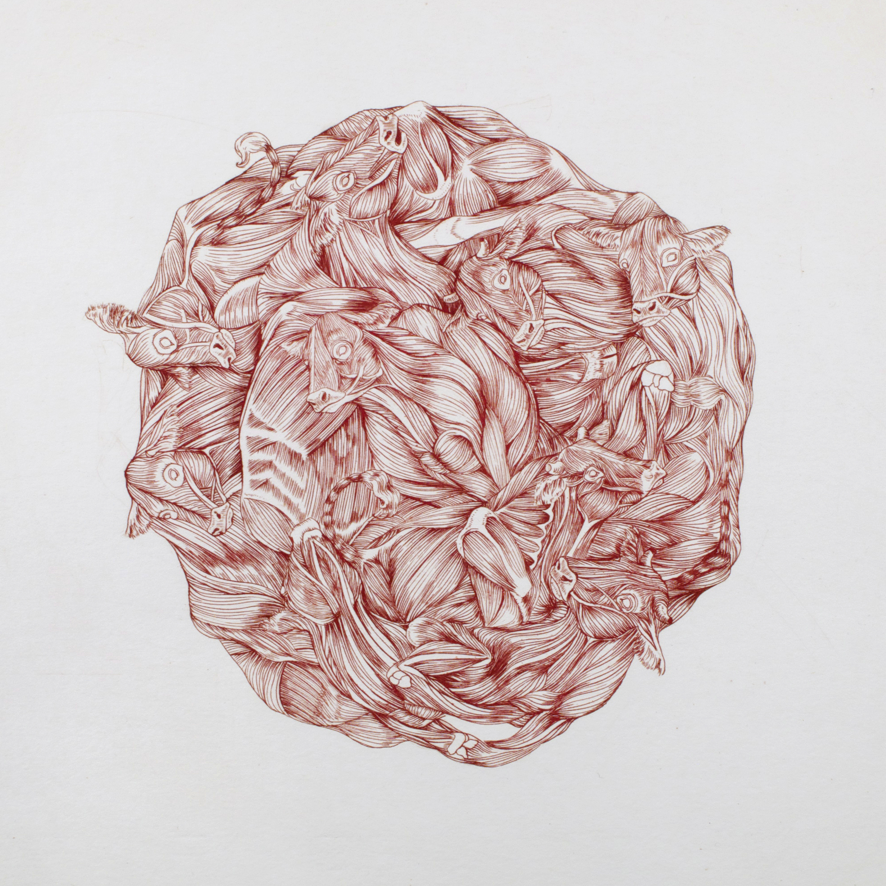 copper engraving 10" x 10" 2011