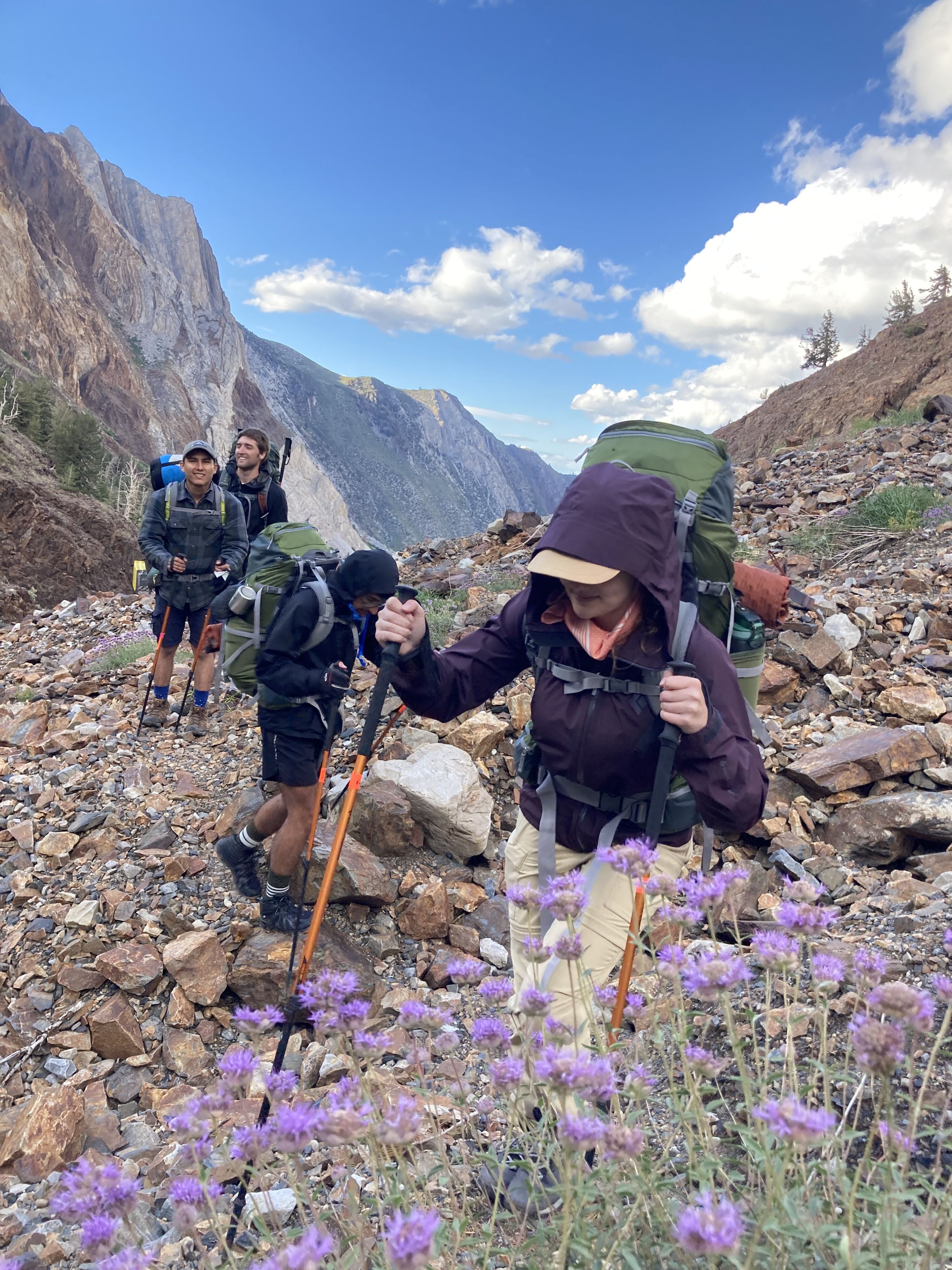 A group of hikers trekking along a trail