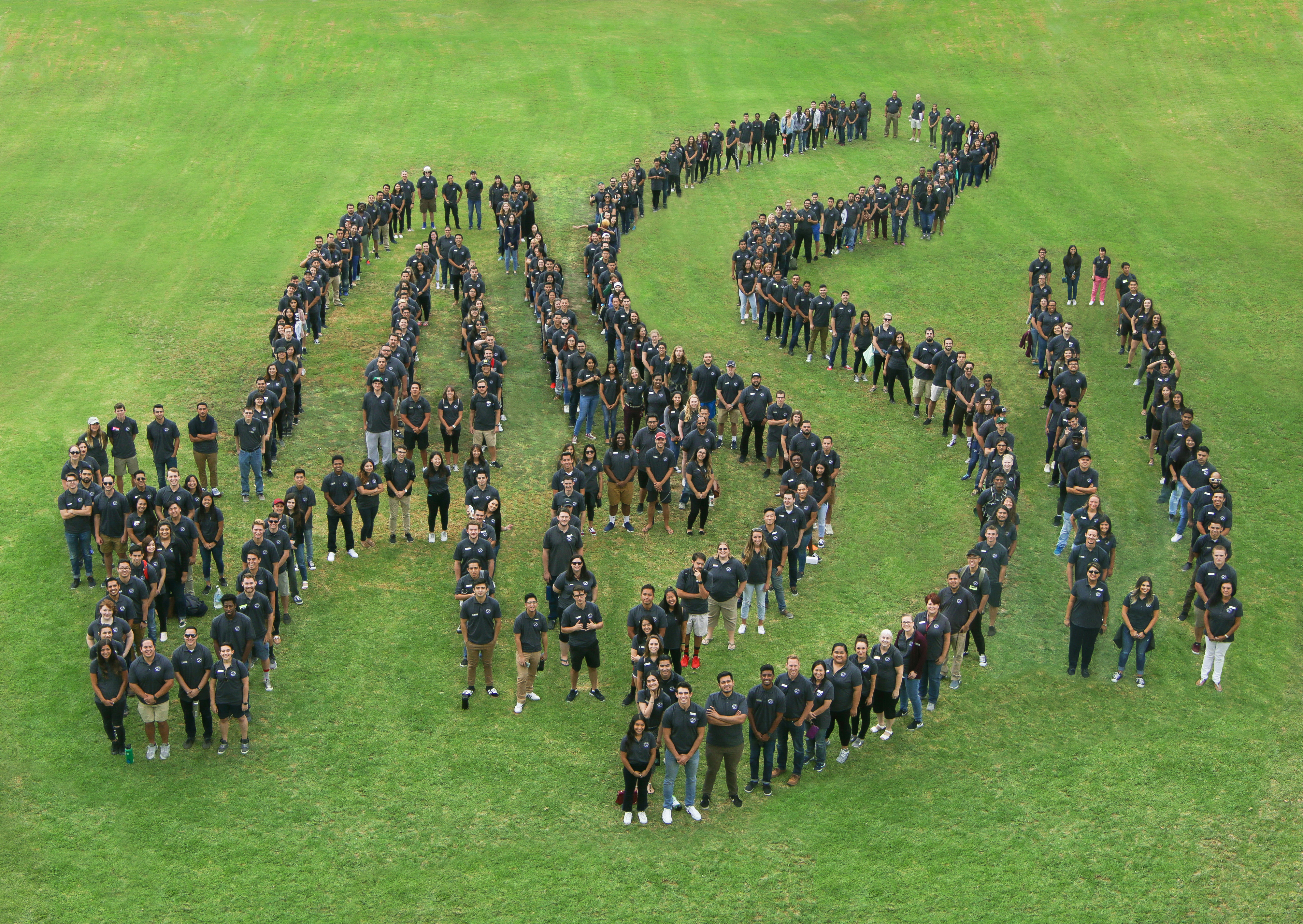 Many ASI employees standing on a grass lawn in the shape of "A-S-I"