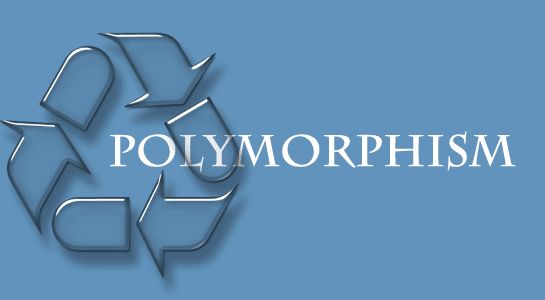 What Is Polymorphism In Oop - Premium Colorful Illustration Gallery - 4K