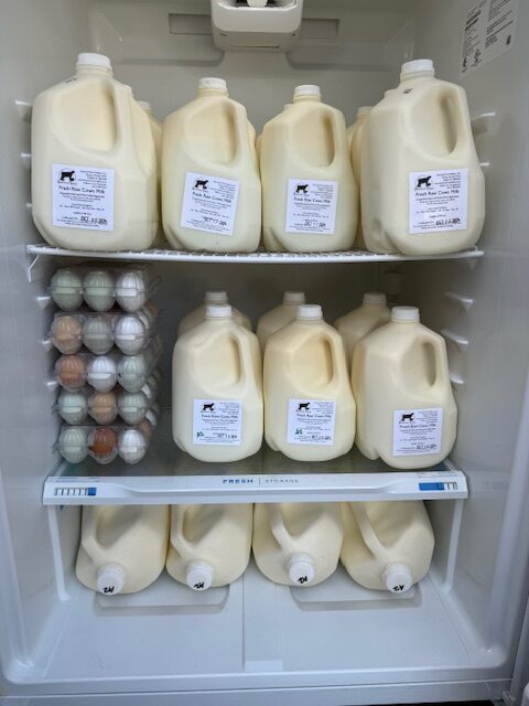 Milk stacked in a refrigerator with multi-colored eggs