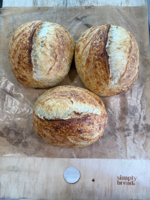 3 artisan sourdough bread loaves