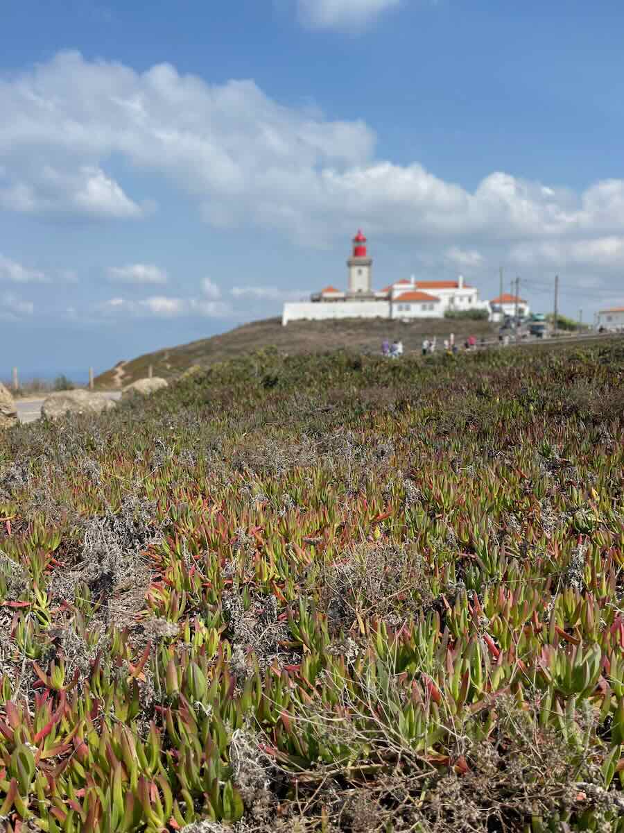 A scenic view of Cabo da Roca lighthouse, situated on a hill in the distance. In the foreground, there&rsquo;s a wide expanse of green and reddish succulents, with a clear sky filled with soft clouds above.