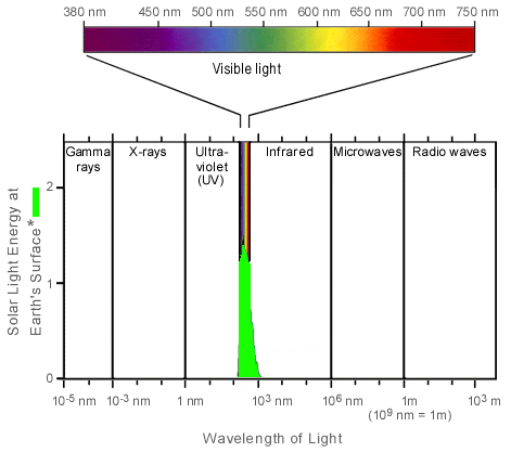 Electromagnetic radiation in this range of wavelengths . Visible And Non Visible Light Ask A Biologist