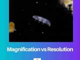 Magnification Vs Resolution Difference And Comparison