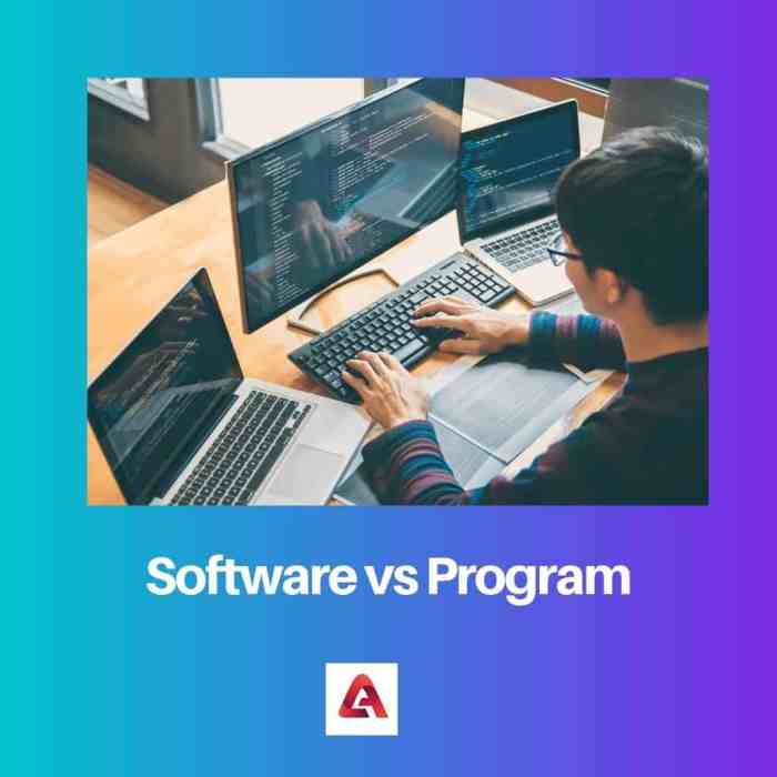 Software vs Program: Difference and Comparison Software vs Program: Difference and Comparison