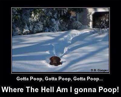 dog humor