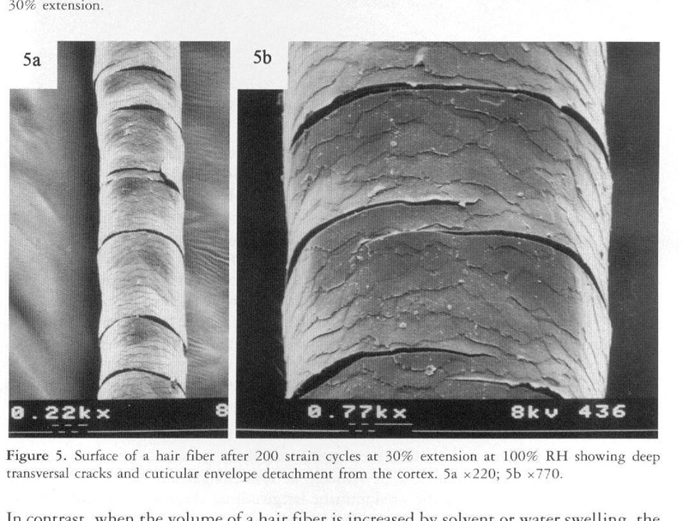 Heat Damage from Blow Dryer & Irons