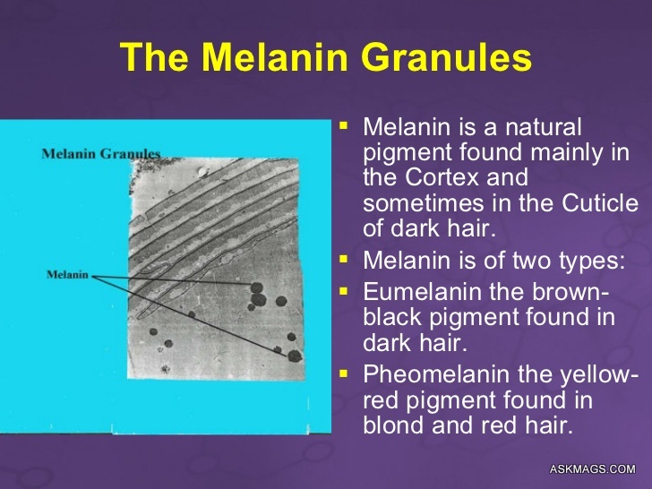 Melanins the Hair Shaft