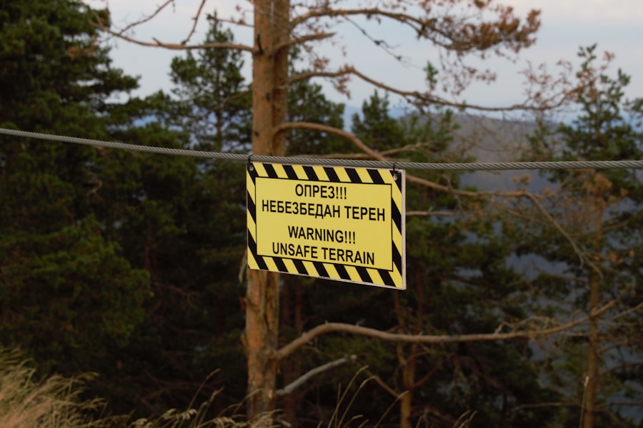 Emergency Tree Work: Storm Damage and Insurance Basics 1 Emergency Tree Work