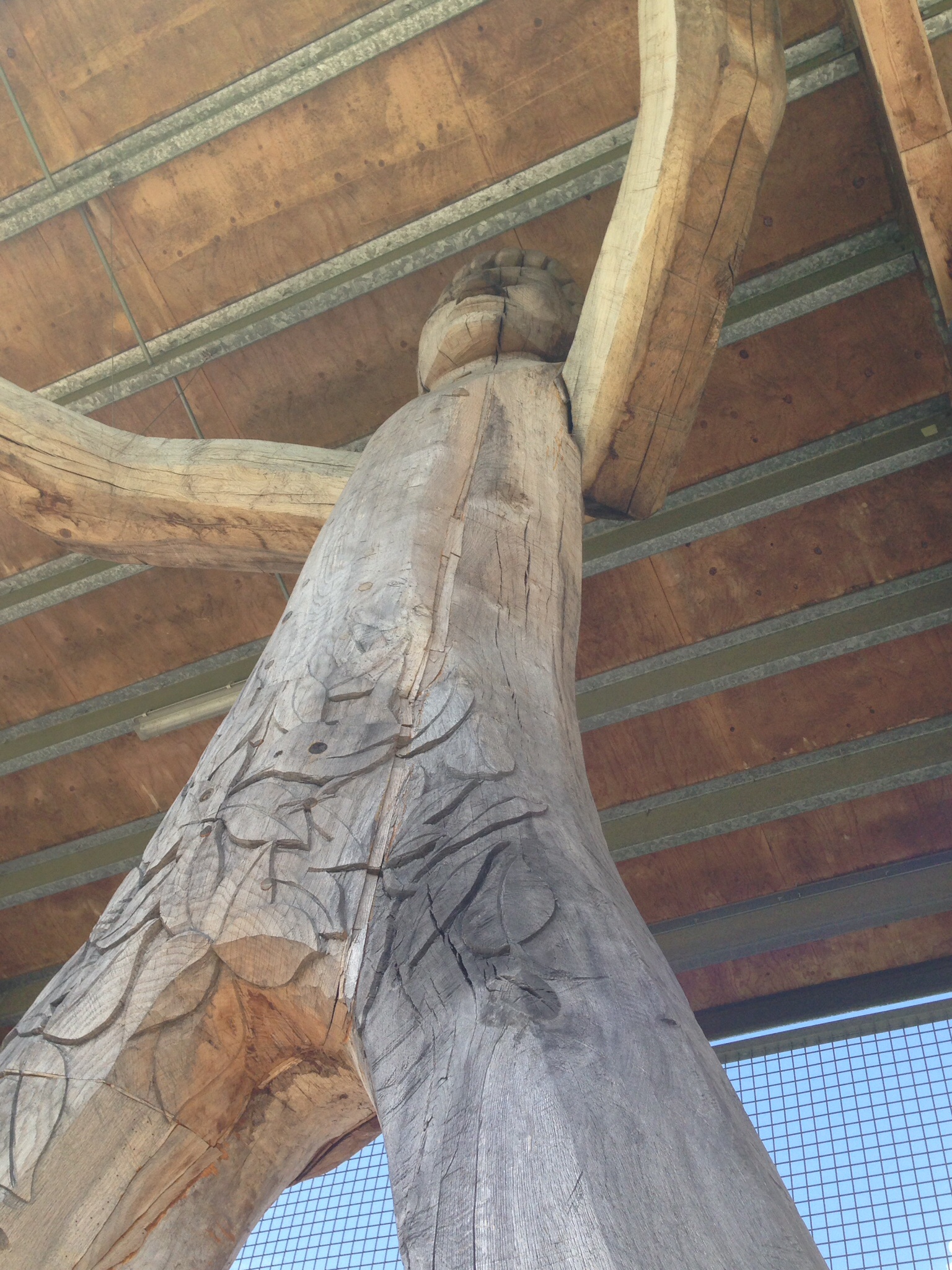 dartford_oak_man