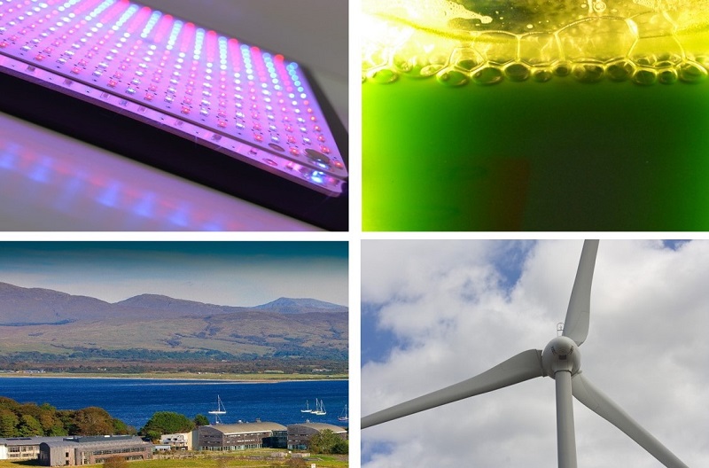 Aslee In The Spotlight Collaborate And Innovate Algal