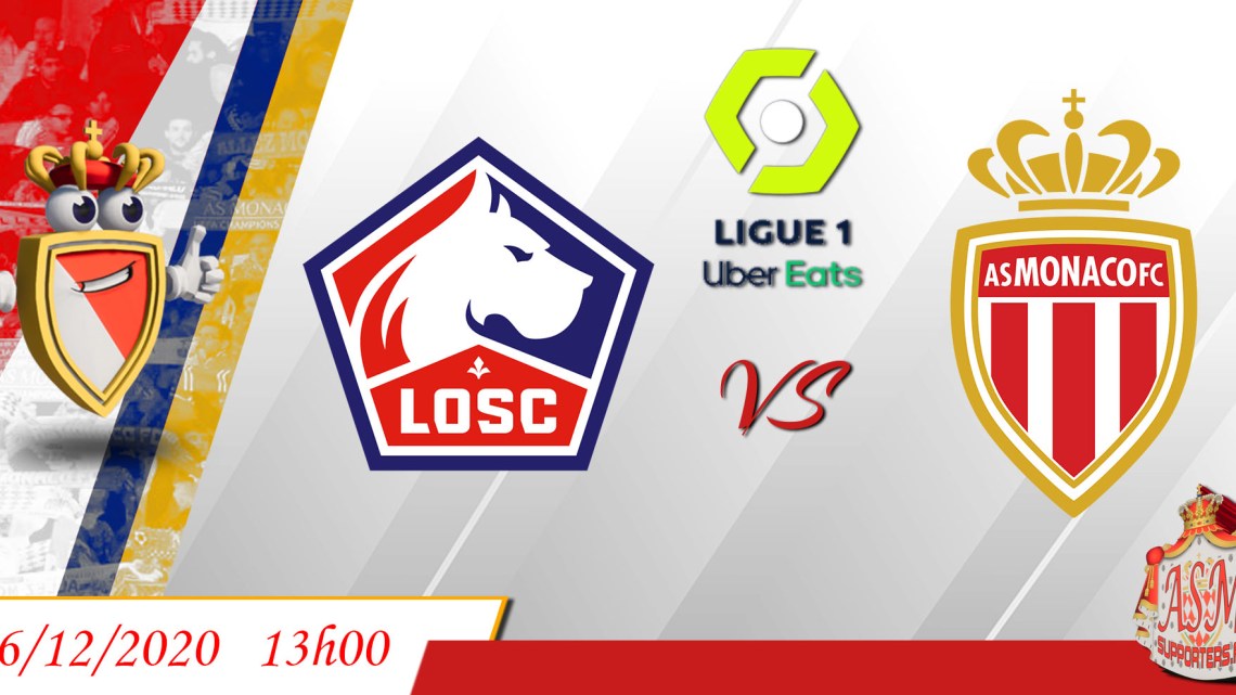 LOSC-ASM : Le groupe lillois