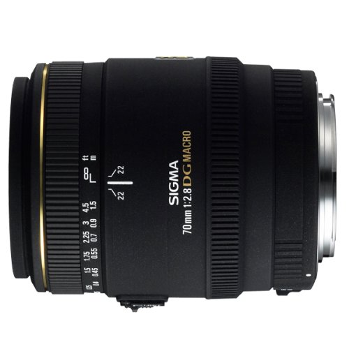 シグマSIGMA70mmf2.8 DG MACRO Eマウント SIGMA 70mm F2.8 DG シグマSIGMA70mmf2.8 DG MACRO Eマウント SIGMA 70mm F2.8 DG