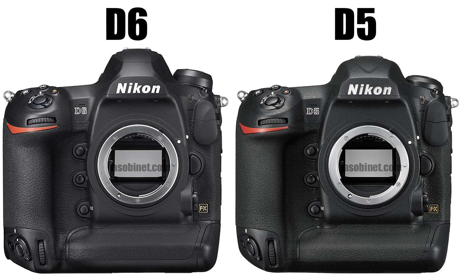 Nikon ニコン 函厄災ありb D6 骨身 Climatictesting Com