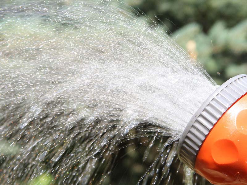 Irrigation water spraying from a sprinkler nozzle on a farm
