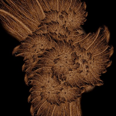 still from Human Computer Interaction 1.0