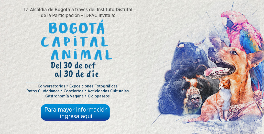 BOGOTÁ CAPITAL ANIMAL