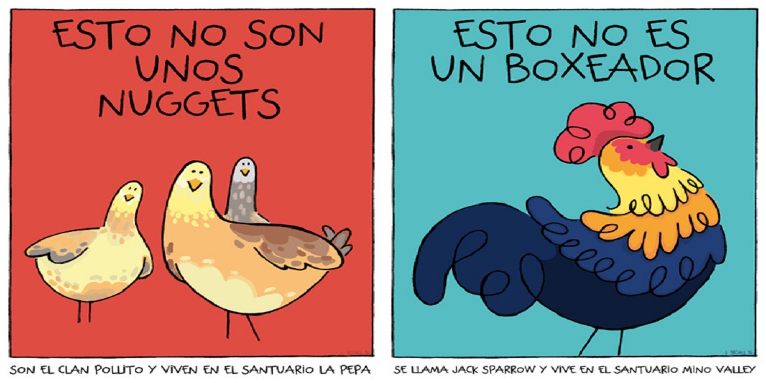JOAQUÍN SECALL EN BOGOTÁ, CON UN MENSAJE QUE NOS HARÁ PENSAR EN LOS ANIMALES