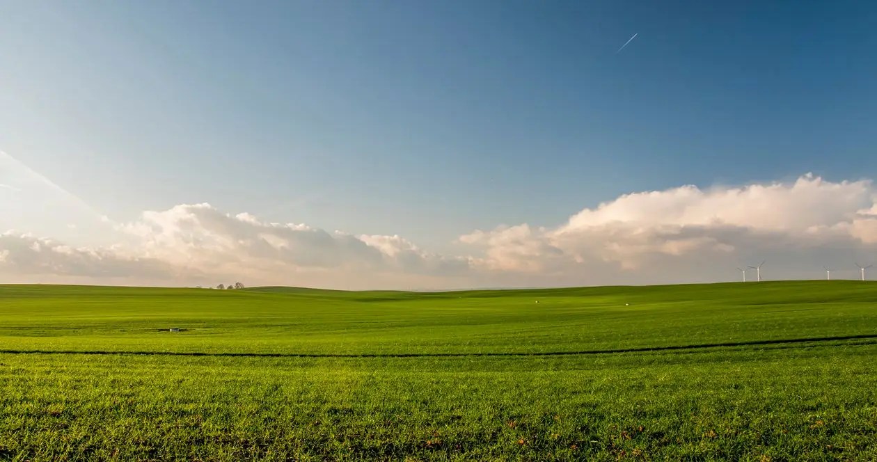Barron County Wisconsin landscape