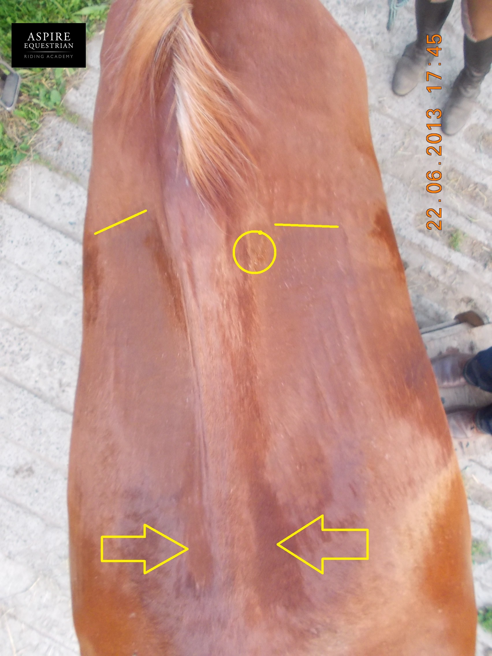 Secret Language of Sweat Marks – Continued | Official Blog