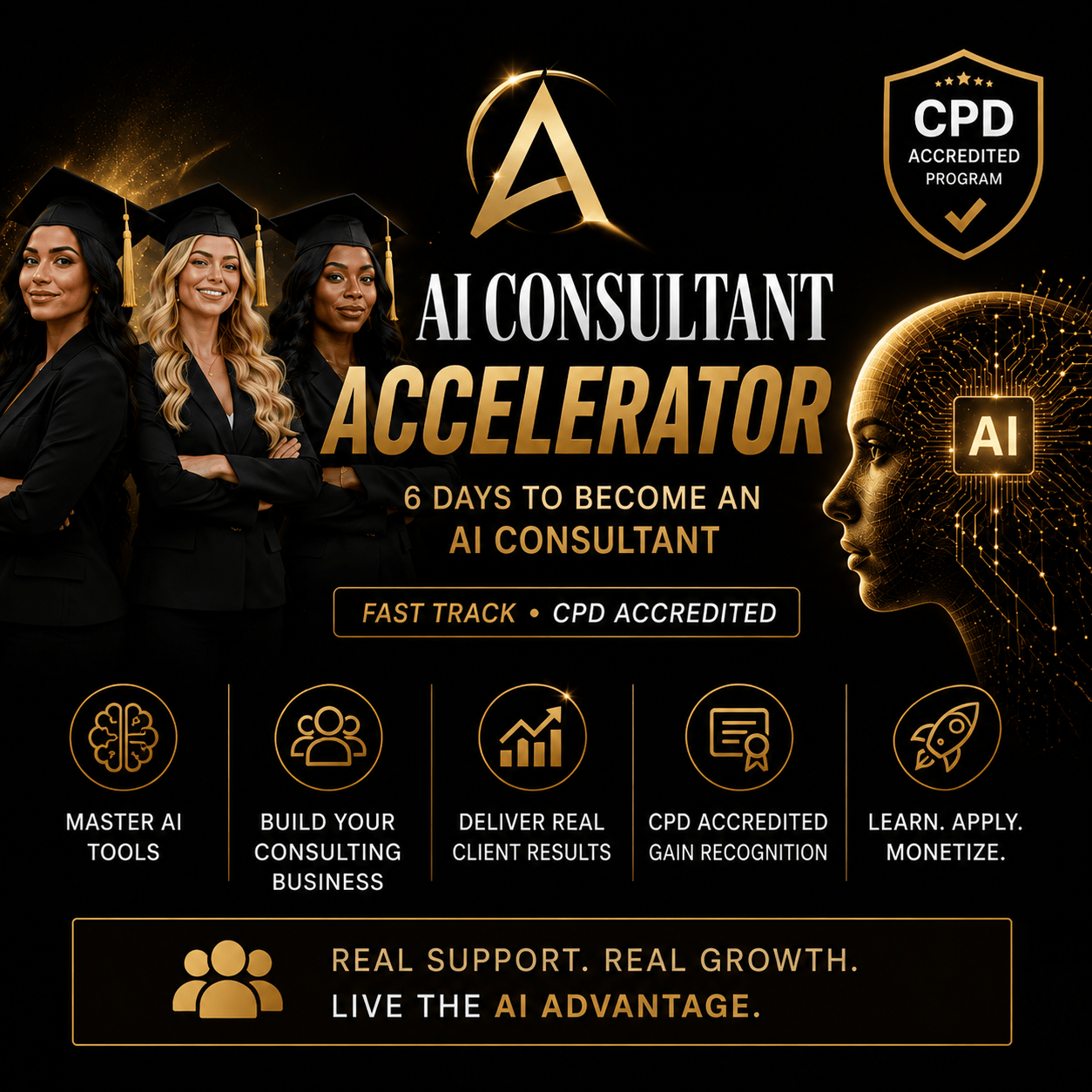AI Consultant Accelerator Image