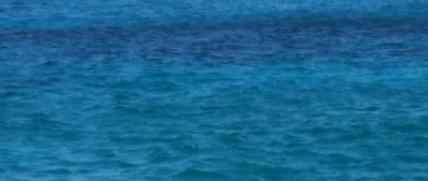 Fun Sea By Cece S Worldwide Travel In Round Rock Tx