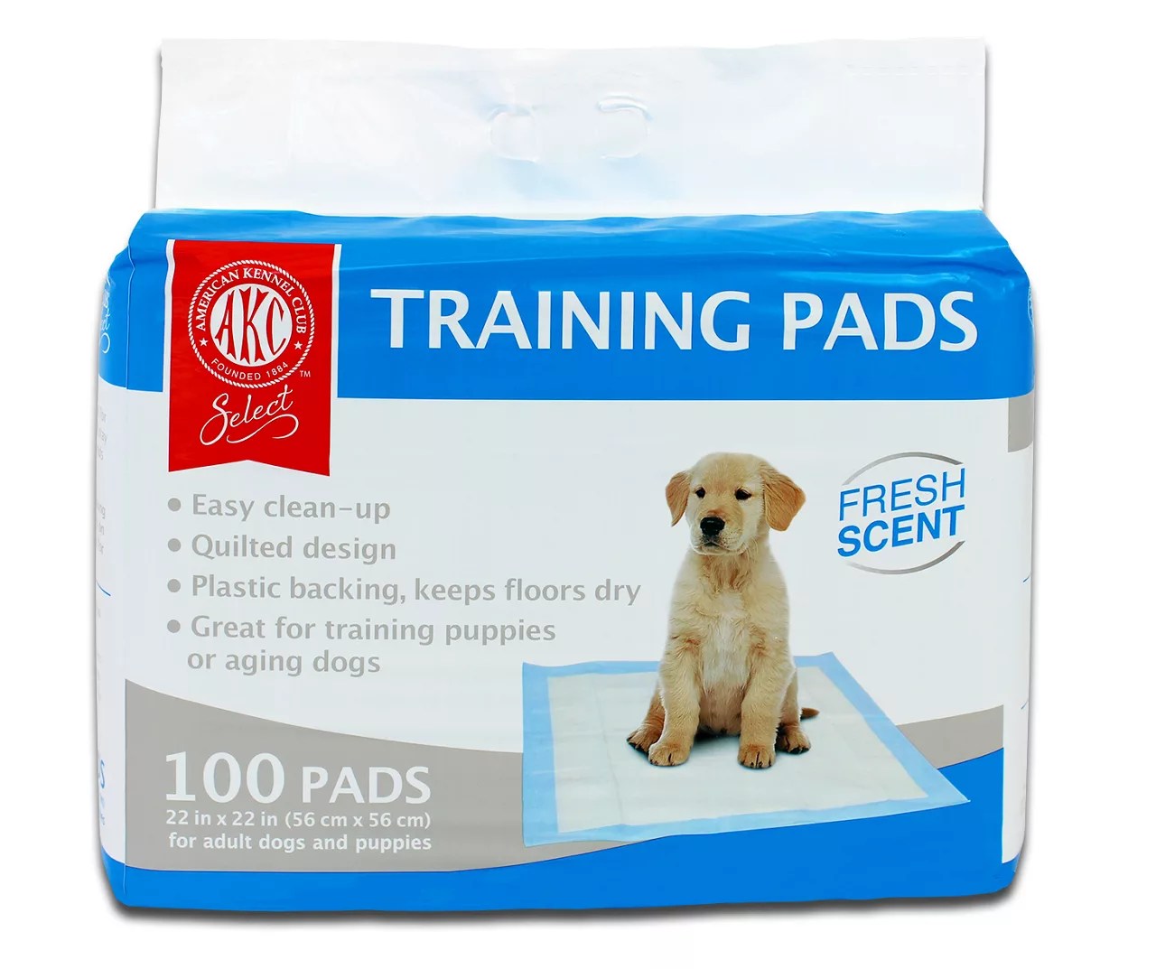 Should you use training pads for puppies