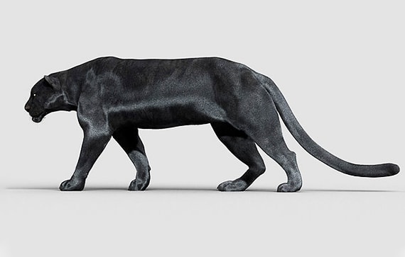 Buy professional 3d models