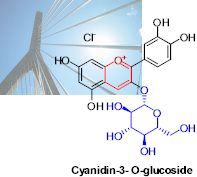人名反応から学ぶ有機合成戦略 | Chem-Station (ケムステ)