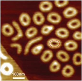 高分子を”見る” その1 | Chem-Station (ケムステ)