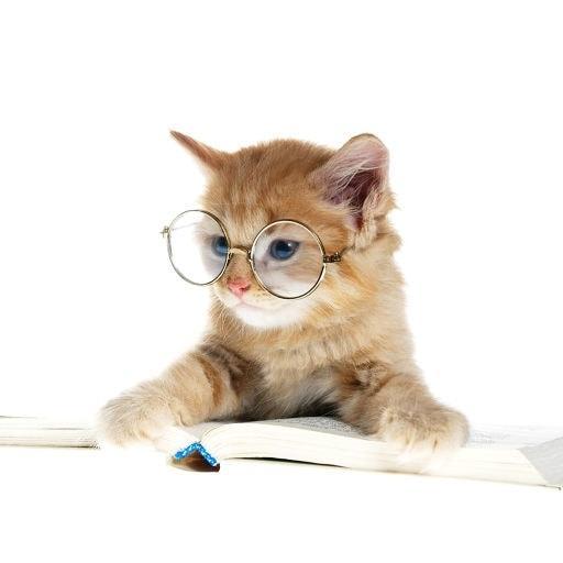 Allen One On Codepen - Classic Ultra HD Dark Designs | Free Download