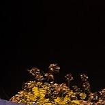 Build Alpha On Codepen - Landscape Patterns - Classic Retina Collection