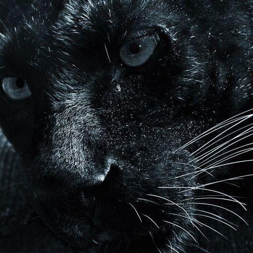 Bartek Ratajczak On Codepen - Incredible Mobile Gradient Illustrations | Free Download