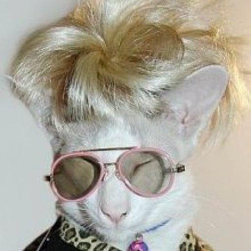 Clarke On Codepen - Perfect Ultra HD Mountain Designs | Free Download