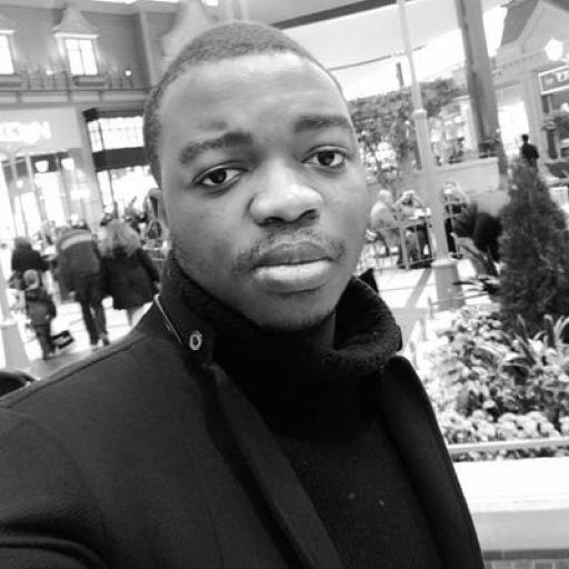 Florian On Codepen - Premium Mountain Photo Gallery - 8K