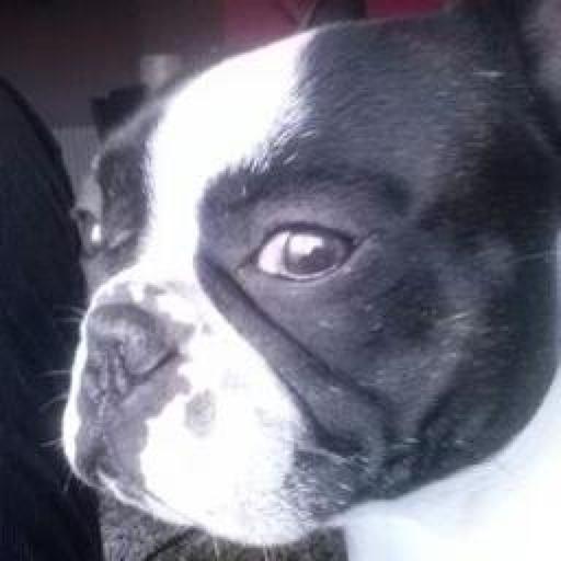 Eva On Codepen - Dark Photo Collection - HD Quality