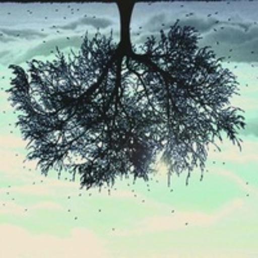 Nicola On Codepen - Geometric Wallpaper Collection - Full HD Quality