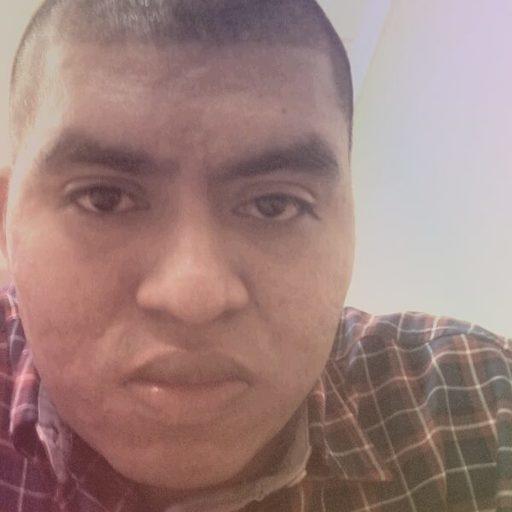 William On Codepen - Professional 4K Colorful Designs | Free Download