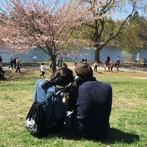 Ethan On Codepen - Artistic Desktop Abstract Photos | Free Download