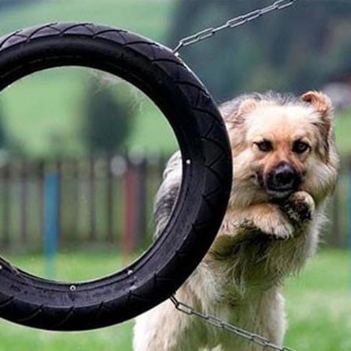 Ux On Codepen - Full HD Minimal Backgrounds for Desktop