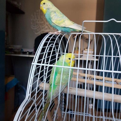 Ahmed On Codepen - Premium Minimal Art Gallery - Ultra HD