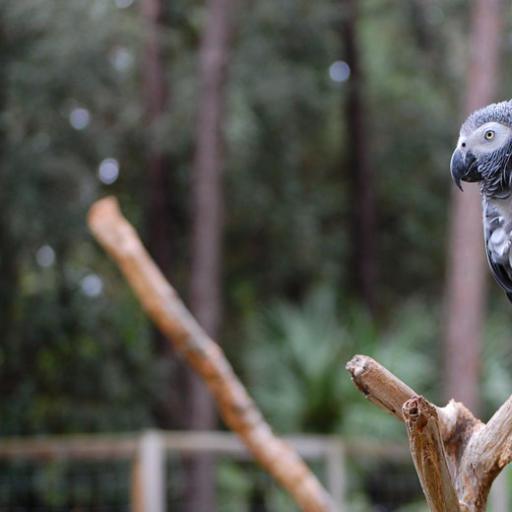 Ian Blackwood On Codepen - Best Gradient Arts in Ultra HD