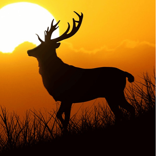 Kim Fransson On Codepen - Download Premium Mountain Image | HD