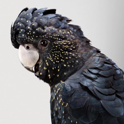 Christian Hamann Medium - Premium Space Picture Gallery - Mobile