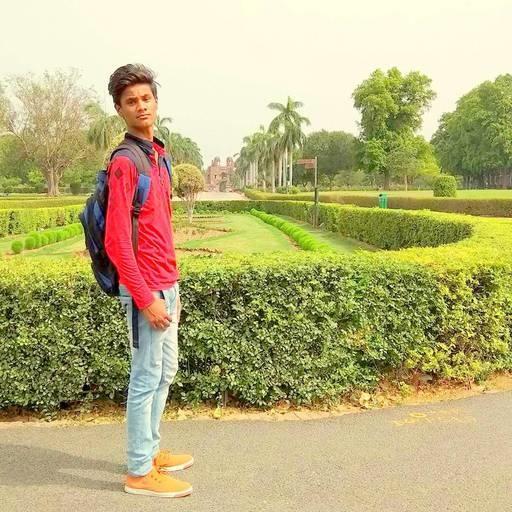 Darek Dev On Codepen - Ultra HD Nature Illustrations for Desktop