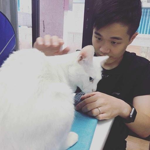 Steven On Codepen - Desktop City Wallpapers for Desktop